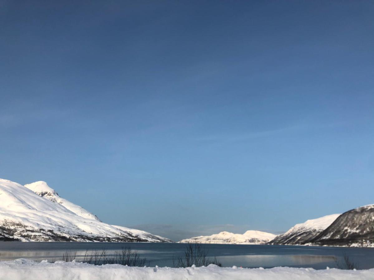 Melishome: Aurora Observatory Tromsø Buitenkant foto
