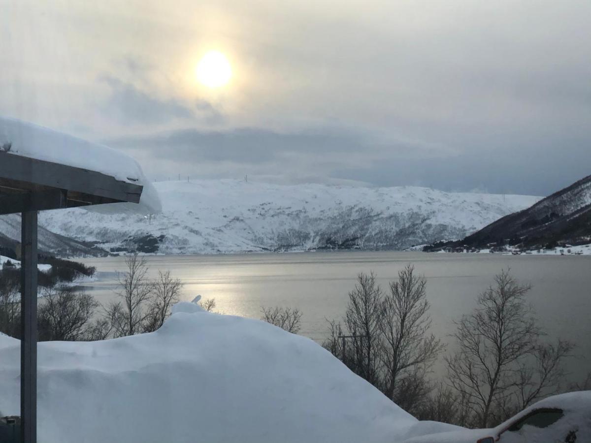 Melishome: Aurora Observatory Tromsø Buitenkant foto