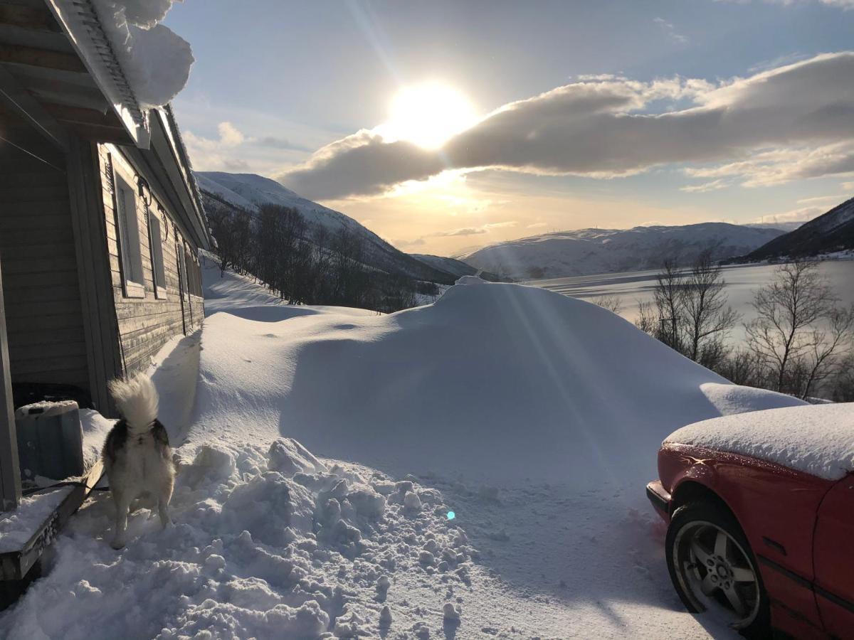 Melishome: Aurora Observatory Tromsø Buitenkant foto