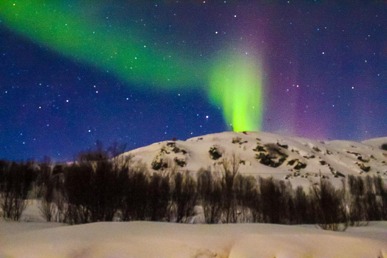 Melishome: Aurora Observatory Tromsø Buitenkant foto